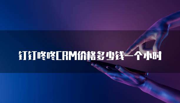 钉钉咚咚CRM价格多少钱一个小时