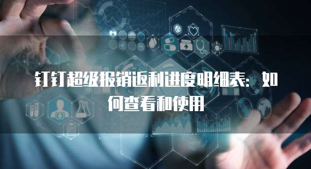 钉钉超级报销返利进度明细表：如何查看和使用