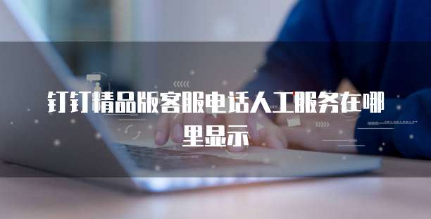 钉钉精品版客服电话人工服务在哪里显示