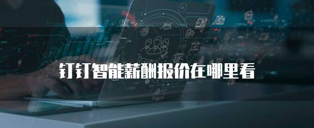 钉钉智能薪酬报价在哪里看