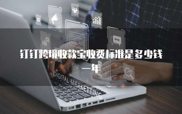 钉钉跨境收款宝收费标准是多少钱一年