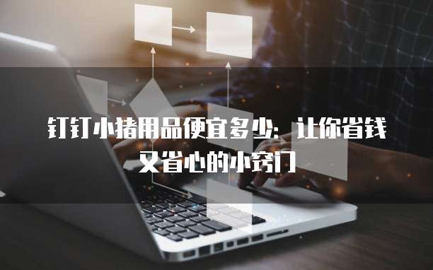 钉钉小猪用品便宜多少:让你省钱又省心的小窍门