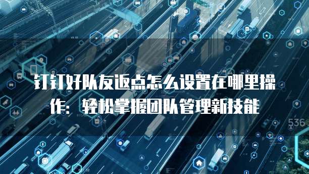 钉钉好队友返点怎么设置在哪里操作：轻松掌握团队管理新技能