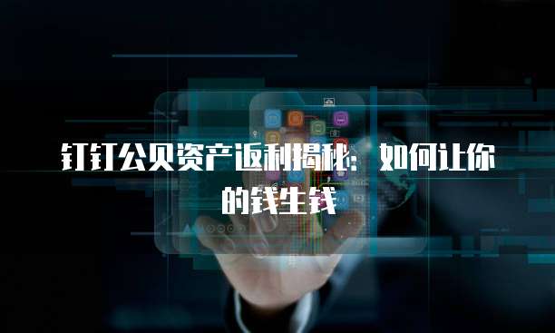 钉钉公贝资产返利揭秘：如何让你的钱生钱