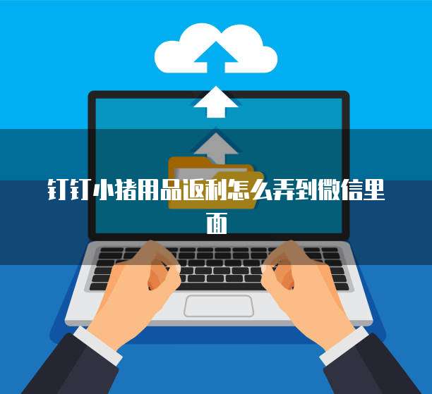 钉钉小猪用品返利怎么弄到微信里面