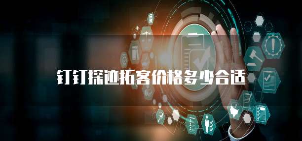 钉钉探迹拓客价格多少合适