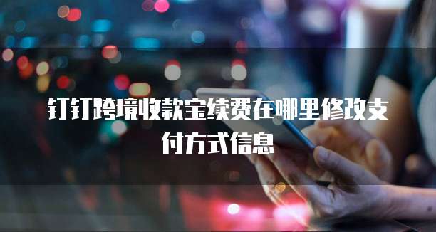 钉钉跨境收款宝续费在哪里修改支付方式信息