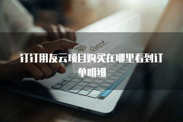 钉钉用友云项目购买在哪里看到订单明细