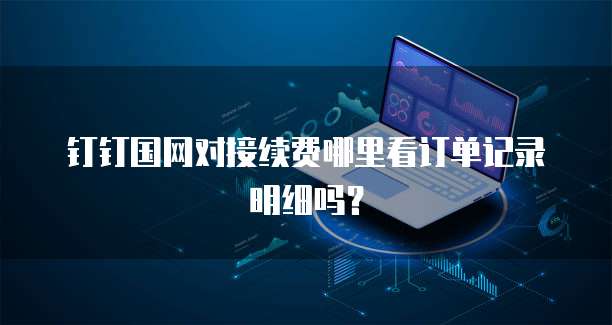 钉钉国网对接续费哪里看订单记录明细吗?