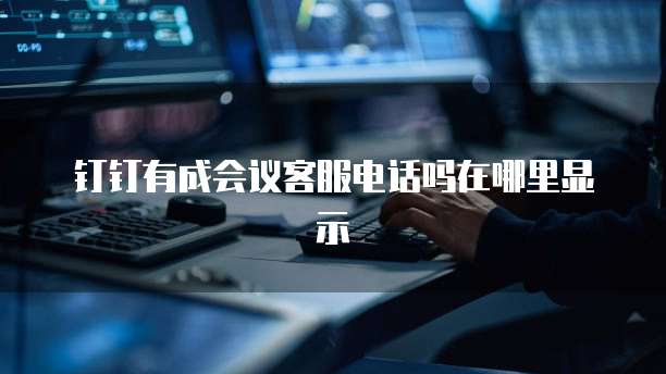 钉钉有成会议客服电话吗在哪里显示