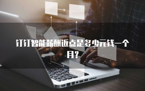 钉钉智能薪酬返点是多少元钱一个月？