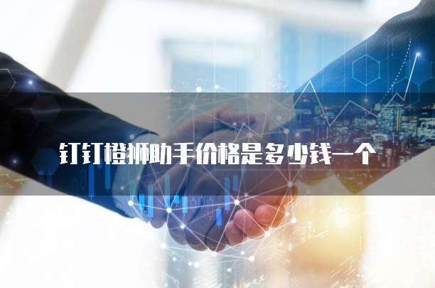 钉钉橙狮助手价格是多少钱一个