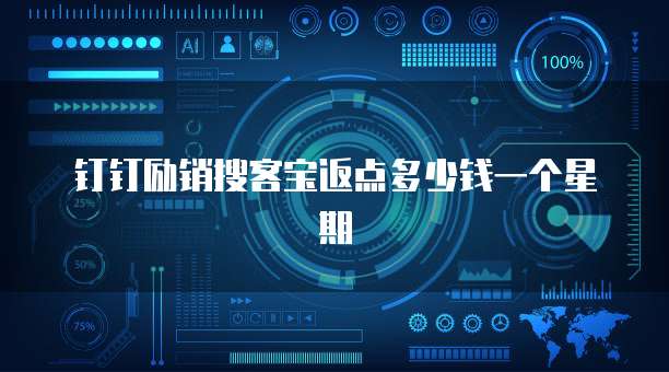 钉钉励销搜客宝返点多少钱一个星期