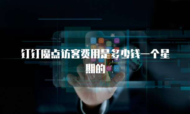 钉钉魔点访客费用是多少钱一个星期的