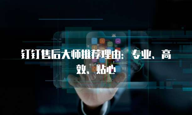 钉钉售后大师推荐理由：专业、高效、贴心