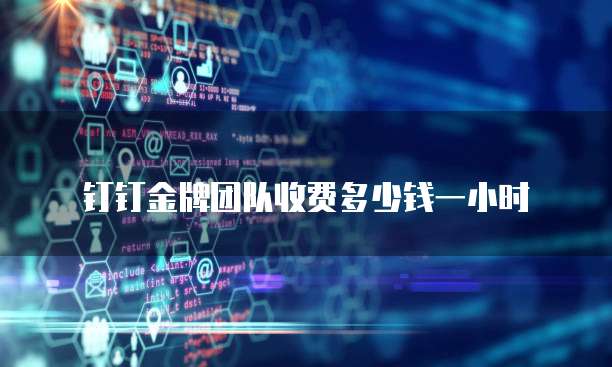 钉钉金牌团队收费多少钱一小时