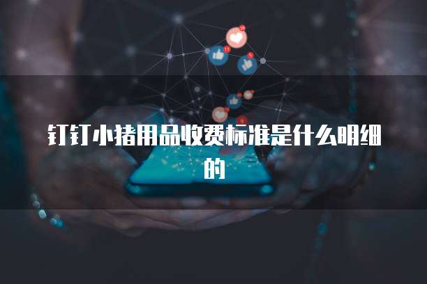 钉钉小猪用品收费标准是什么明细的