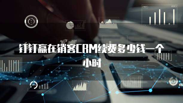 钉钉赢在销客crm续费多少钱一个小时