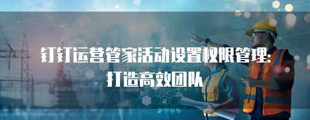 钉钉运营管家活动设置权限管理:打造高效团队