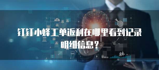 钉钉小蜂工单返利在哪里看到记录明细信息?