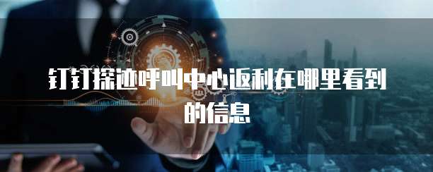 钉钉探迹呼叫中心返利在哪里看到的信息