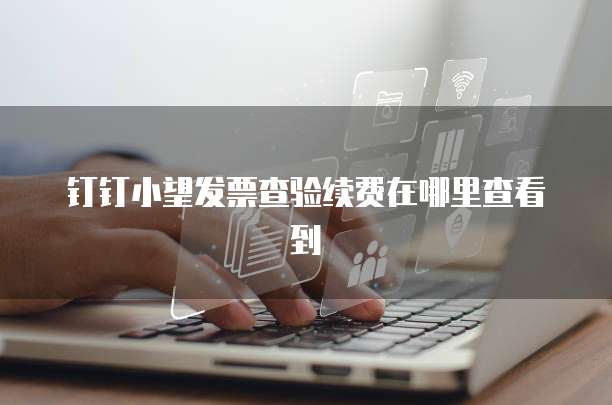 钉钉小望发票查验续费在哪里查看到