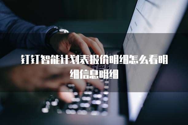 钉钉智能计划表报价明细怎么看明细信息明细