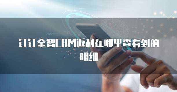 钉钉金智CRM返利在哪里查看到的明细