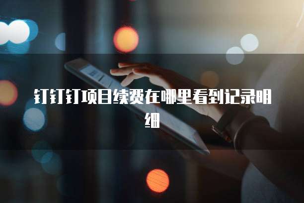 钉钉钉项目续费在哪里看到记录明细