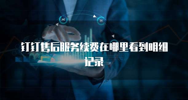 钉钉售后服务续费在哪里看到明细记录