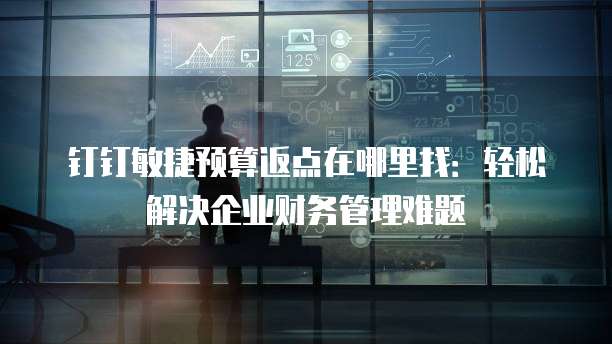 钉钉敏捷预算返点在哪里找:轻松解决企业财务管理难题