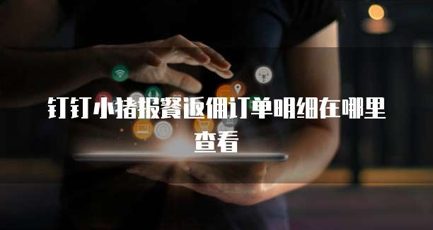 钉钉小猪报餐返佣订单明细在哪里查看