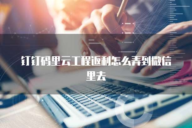 钉钉码里云工程返利怎么弄到微信里去