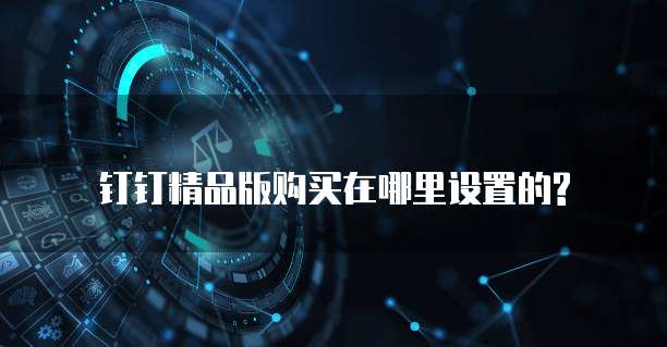 钉钉精品版购买在哪里设置的?