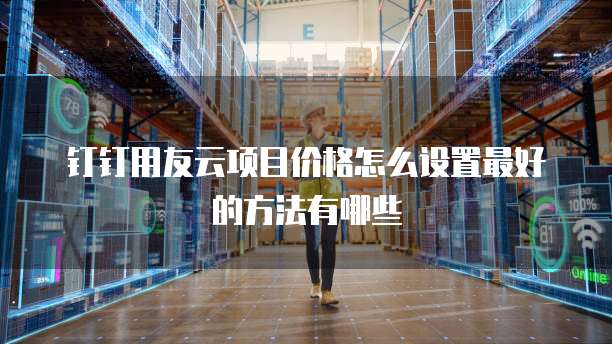 钉钉用友云项目价格怎么设置最好的方法有哪些