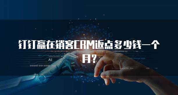 钉钉赢在销客CRM返点多少钱一个月?