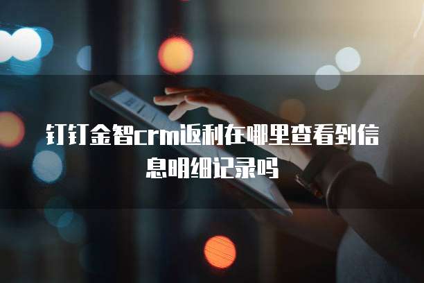 钉钉金智crm返利在哪里查看到信息明细记录吗