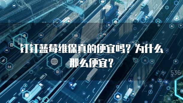 钉钉蓝莓维保真的便宜吗？为什么那么便宜？