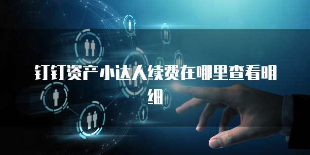 钉钉资产小达人续费在哪里查看明细