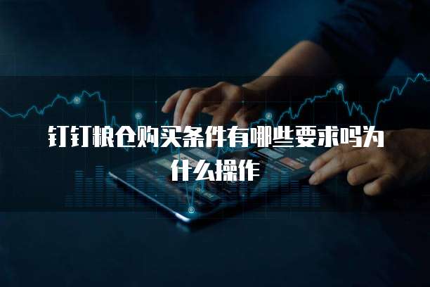 钉钉粮仓购买条件有哪些要求吗为什么操作