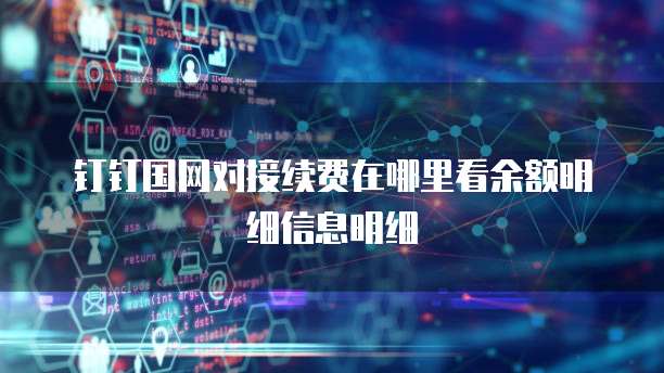 钉钉国网对接续费在哪里看余额明细信息明细