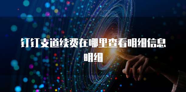 钉钉支道续费在哪里查看明细信息明细