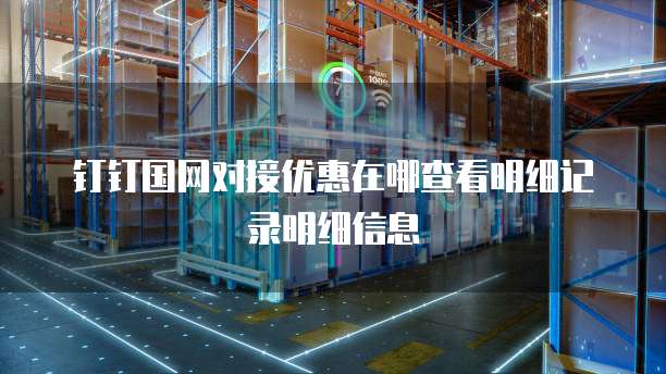 钉钉国网对接优惠在哪查看明细记录明细信息