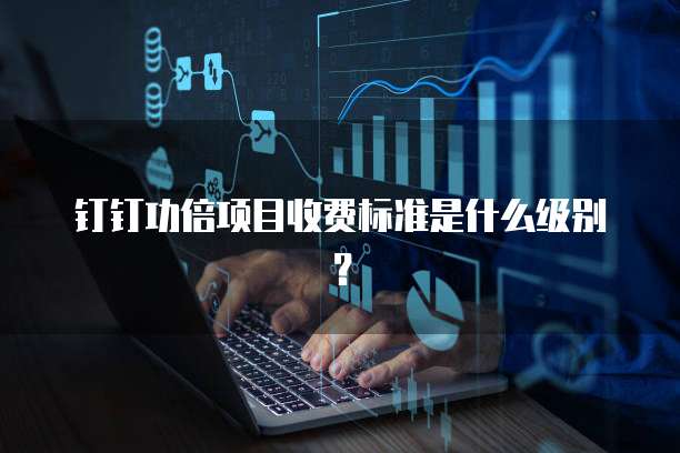 钉钉功倍项目收费标准是什么级别？