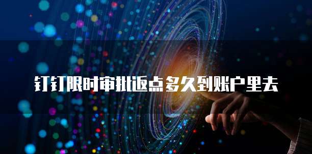 钉钉限时审批返点多久到账户里去