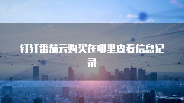 钉钉番茄云购买在哪里查看信息记录