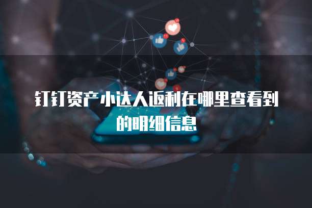 钉钉资产小达人返利在哪里查看到的明细信息