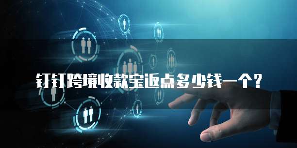 钉钉跨境收款宝返点多少钱一个?
