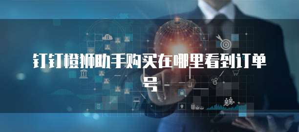 钉钉橙狮助手购买在哪里看到订单号