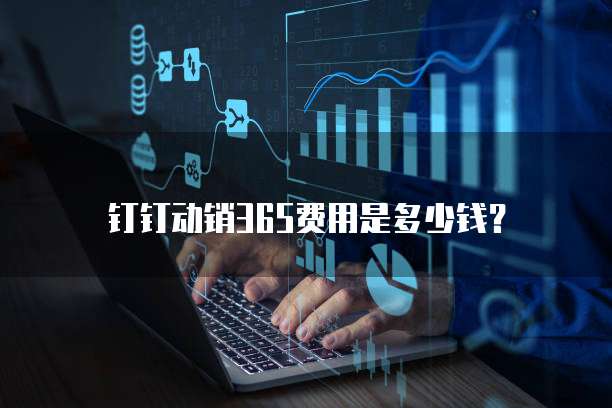 钉钉动销365费用是多少钱？